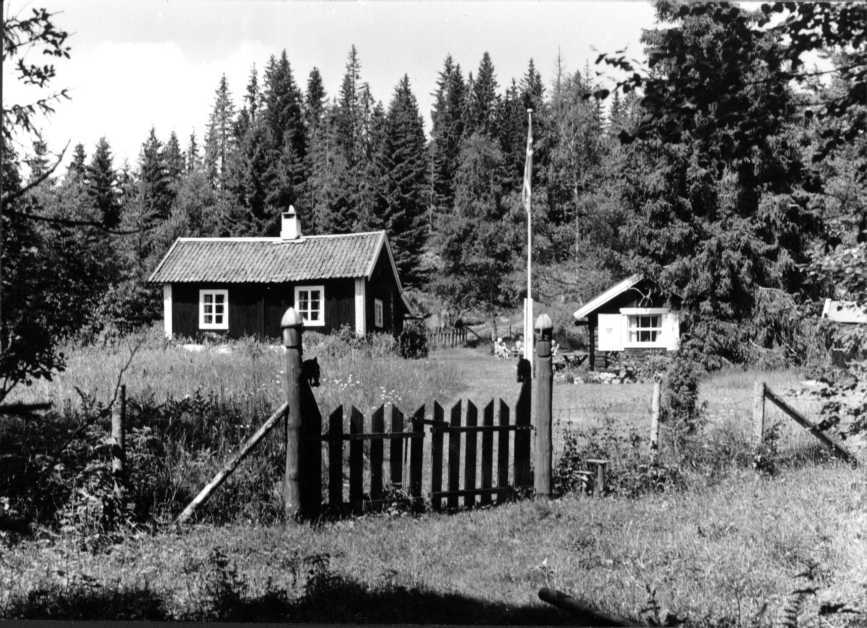 Kølabonn 1980 Foto: Jon Stenseng / Asker bibliotek