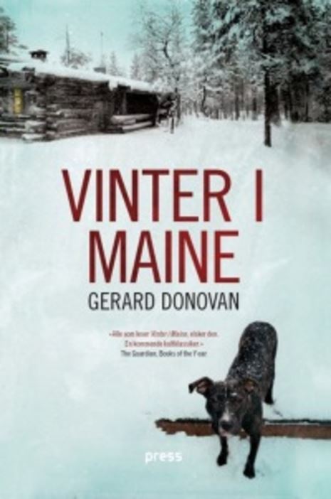 Vinter i Maine (2011)