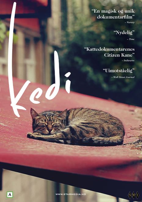 Kedi - 2017 - (DVD)
