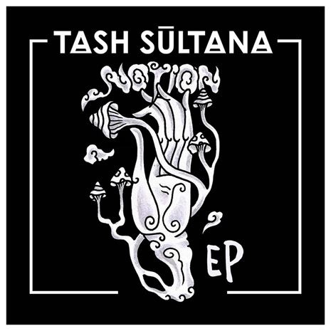 Notion - Sultana Tash